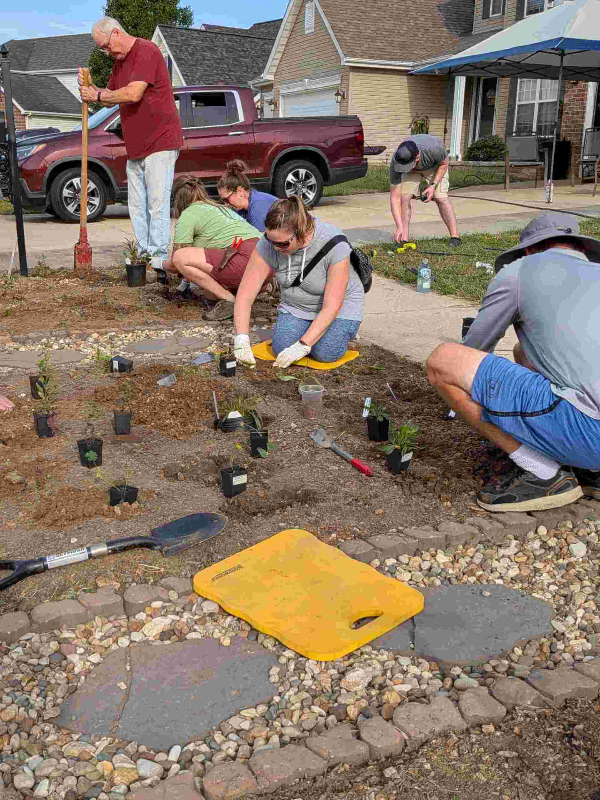 Holes for the plants are being dug with a tool and plants in containers are spread out in their designated locations