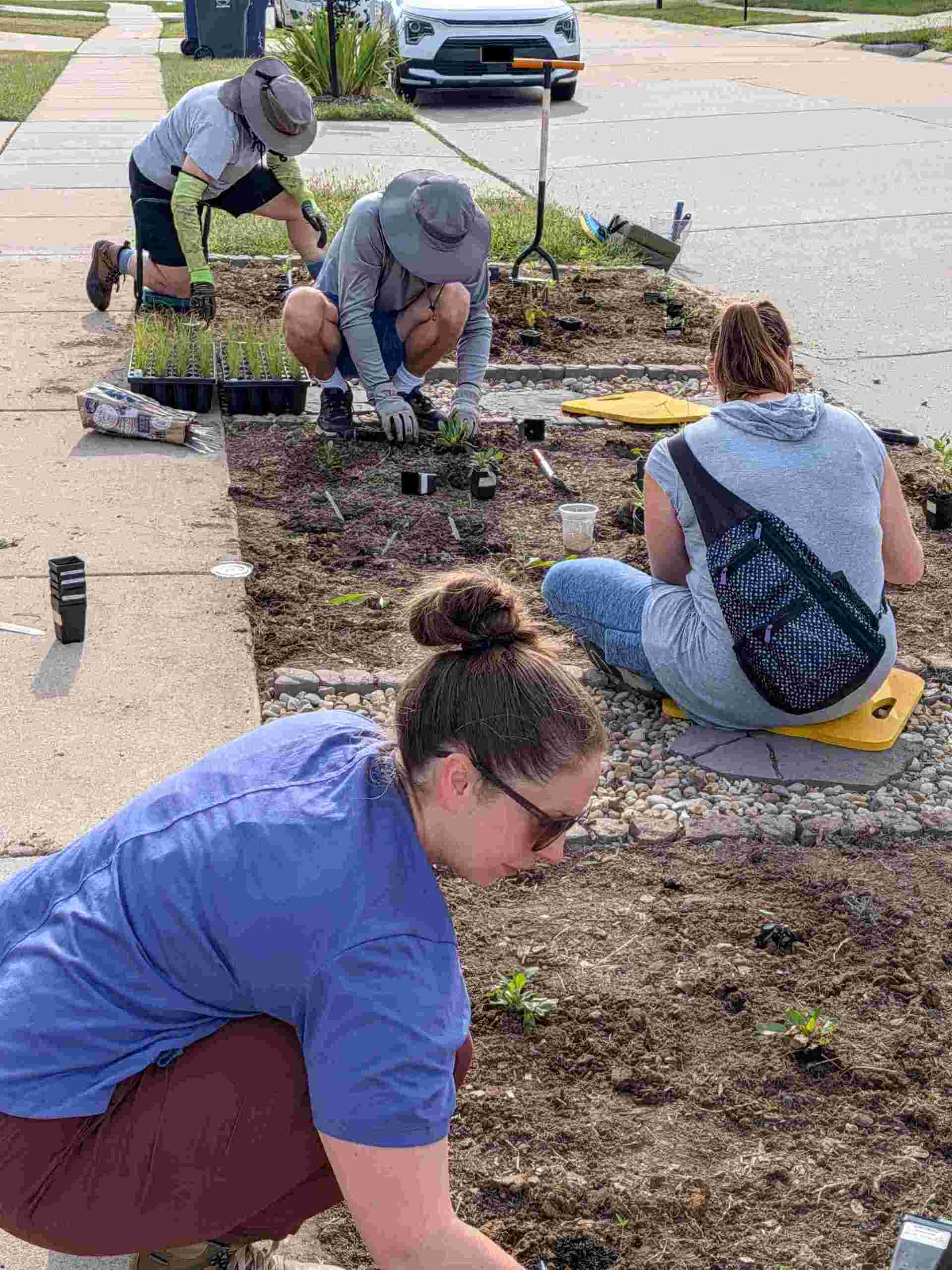 Wild Ones members sitting and kneeling as they install plants