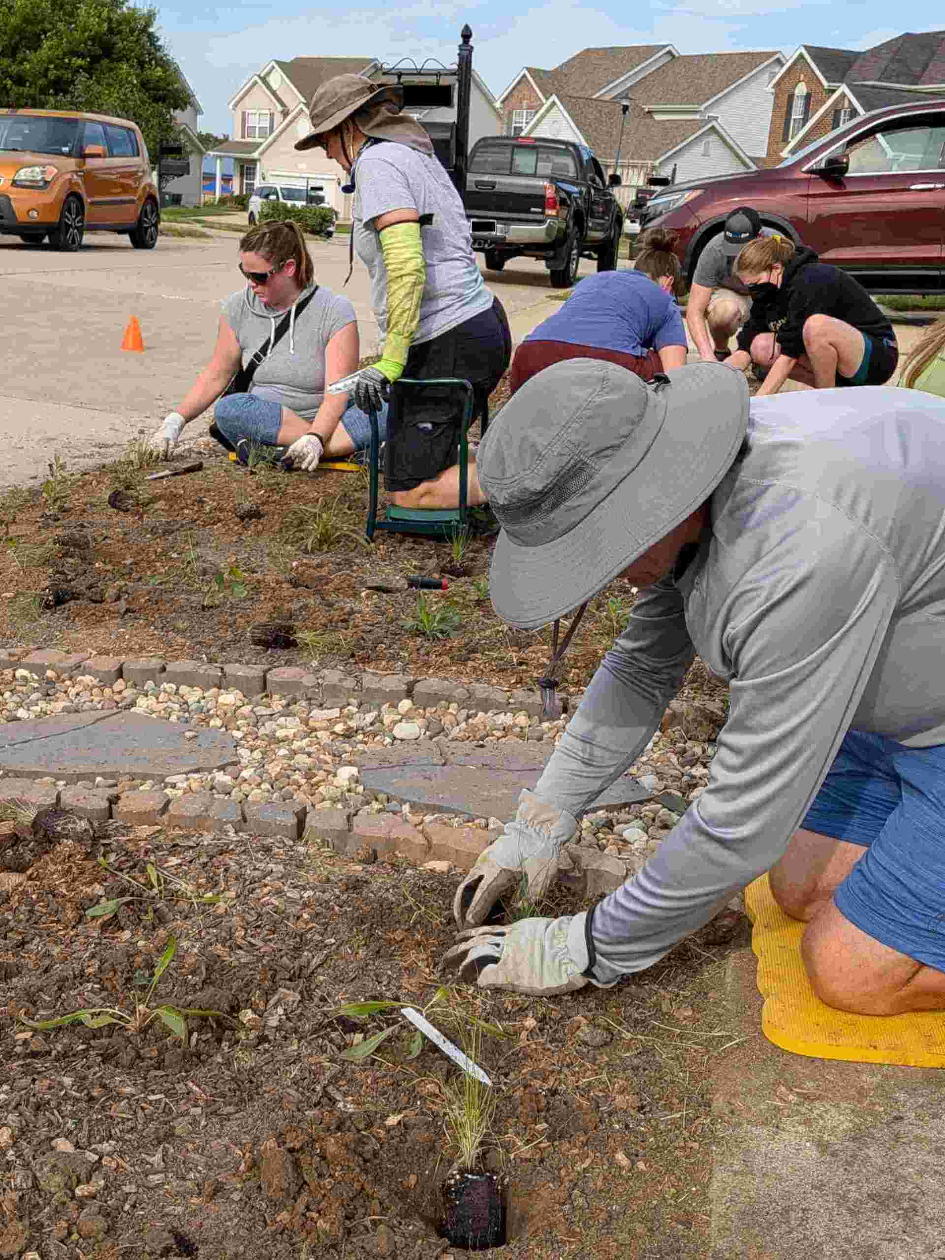 Wild Ones members sitting and kneeling as they install plants